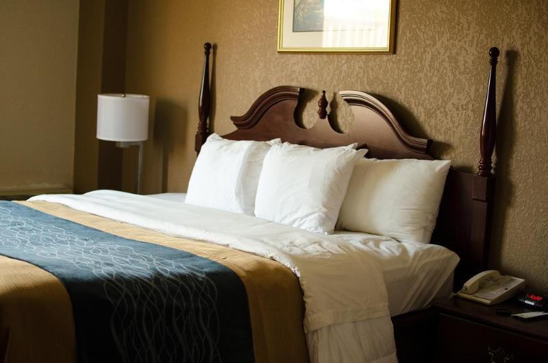 Comfort Downtown South