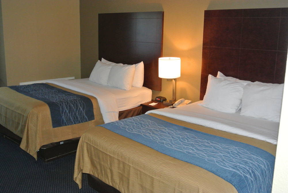 Comfort Downtown South Inn 3*