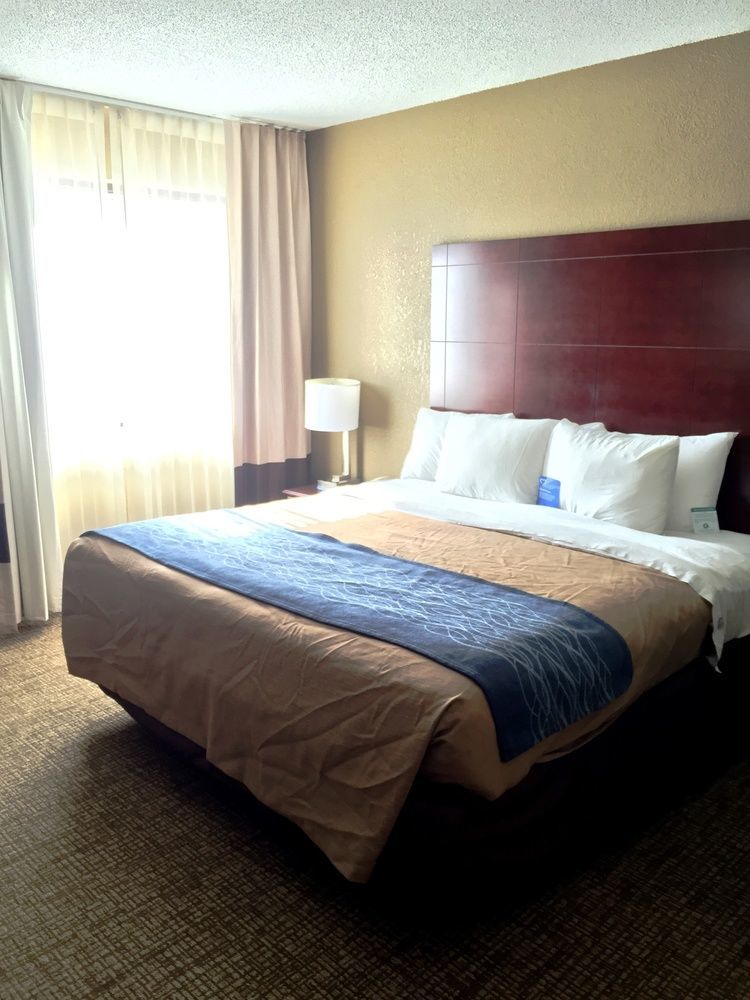 Inn Comfort Downtown South 3*