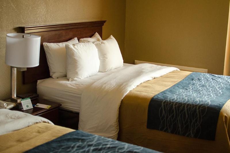 Comfort Downtown South 3*